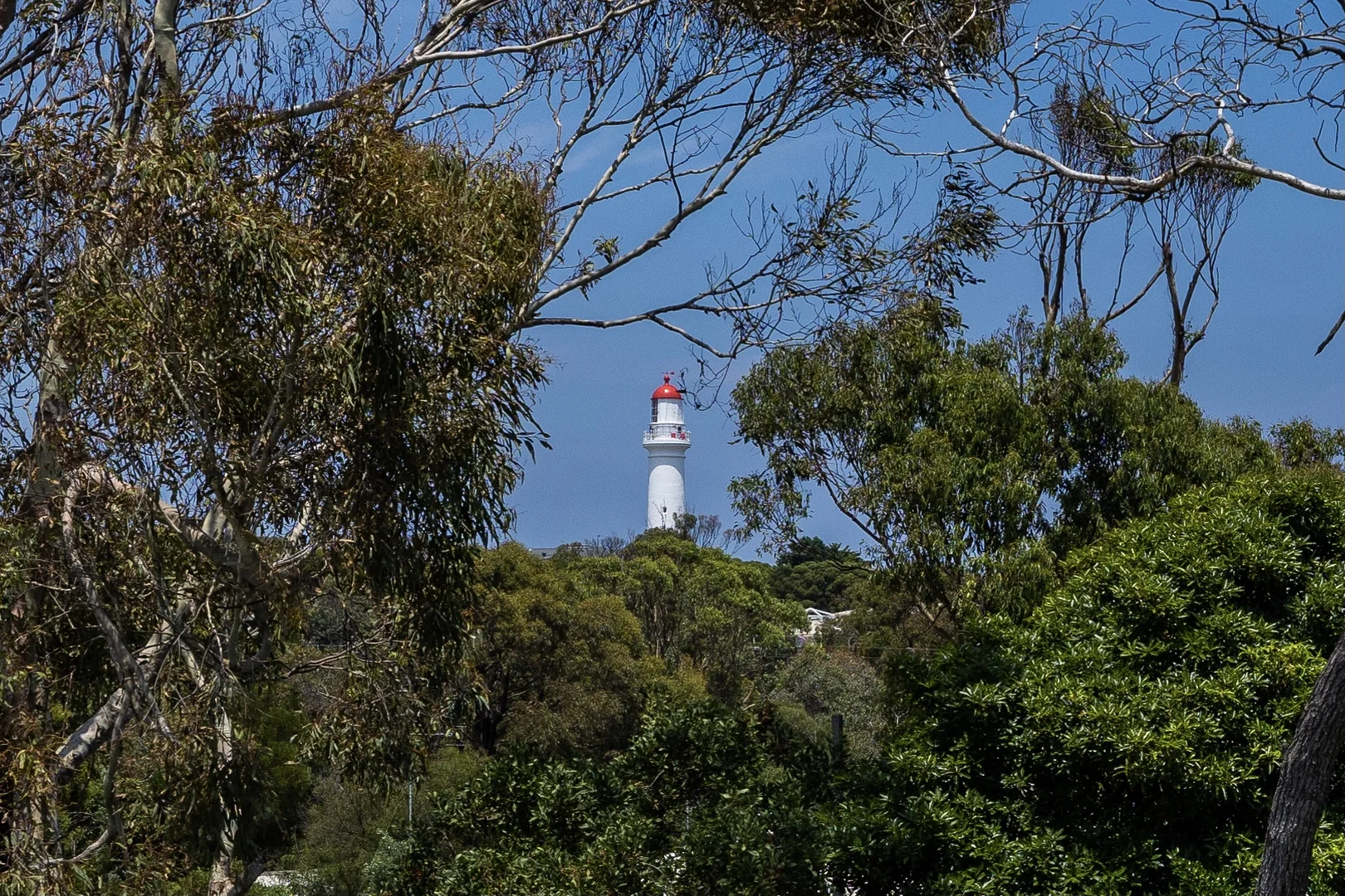 Additional image 20 of 7/2-4 Barton Court, Aireys Inlet VIC 3231