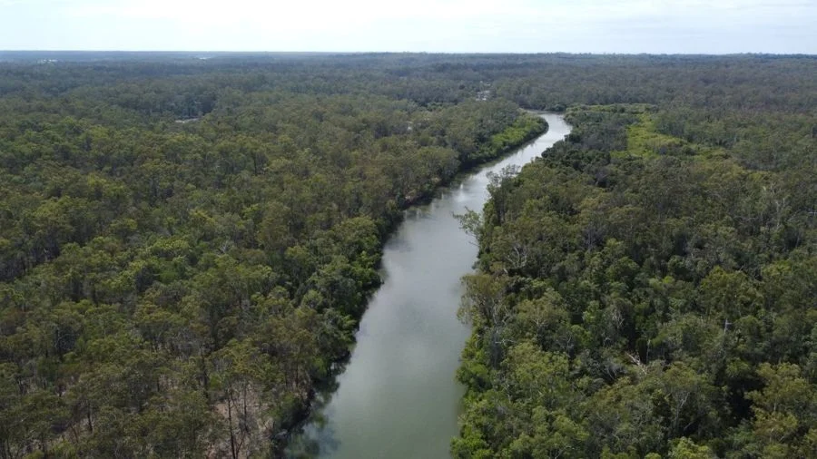 Additional image 30 of 310 MOLLENHAGENS ROAD, Winfield QLD 4670