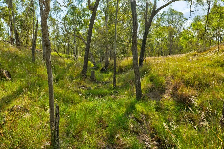 Additional image 23 of Lot 244 Huntley Road, Biarra QLD 4313
