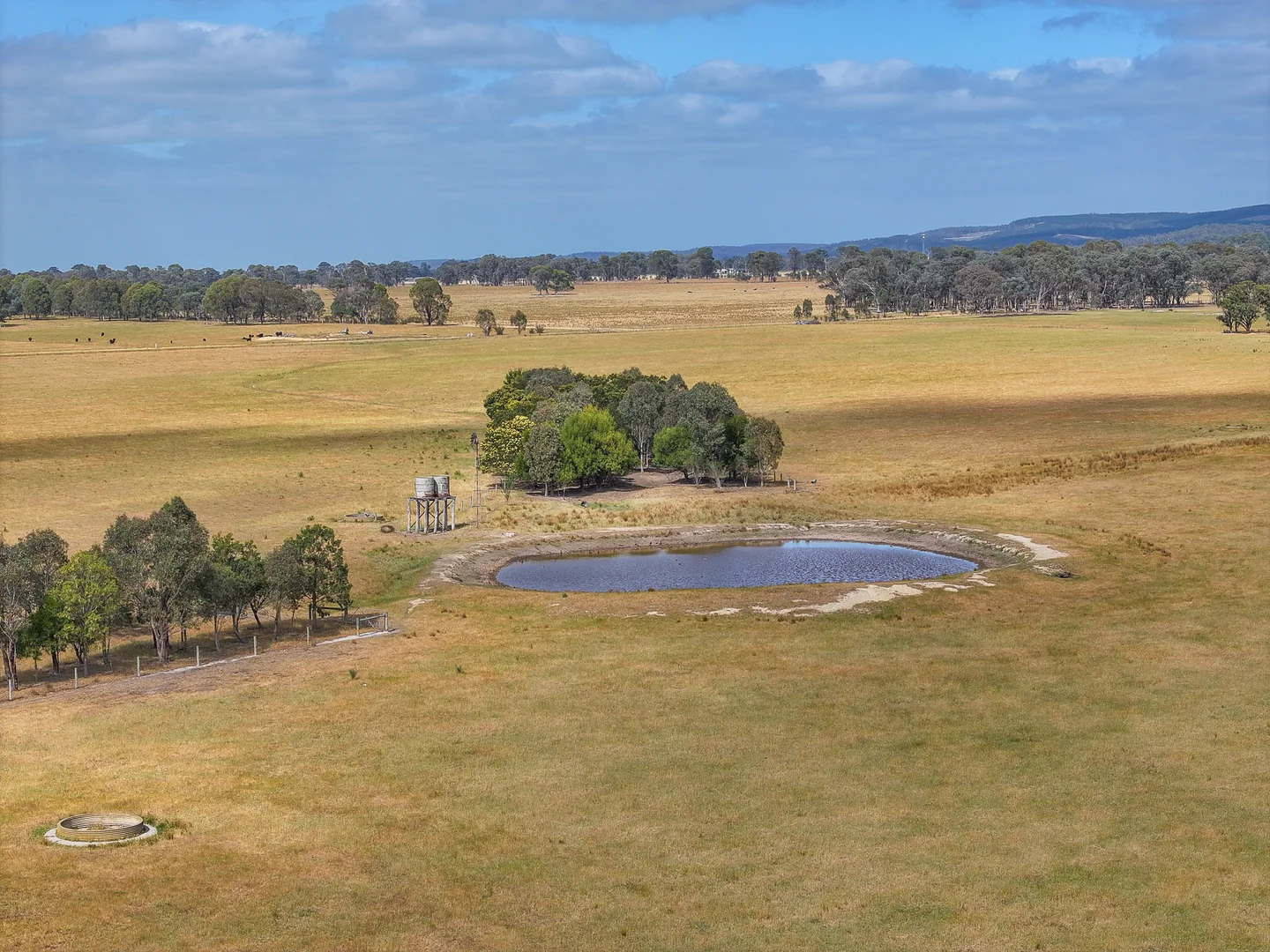 Additional image 29 of 480 Toongabbie Cowwarr Road, Cowwarr VIC 3857