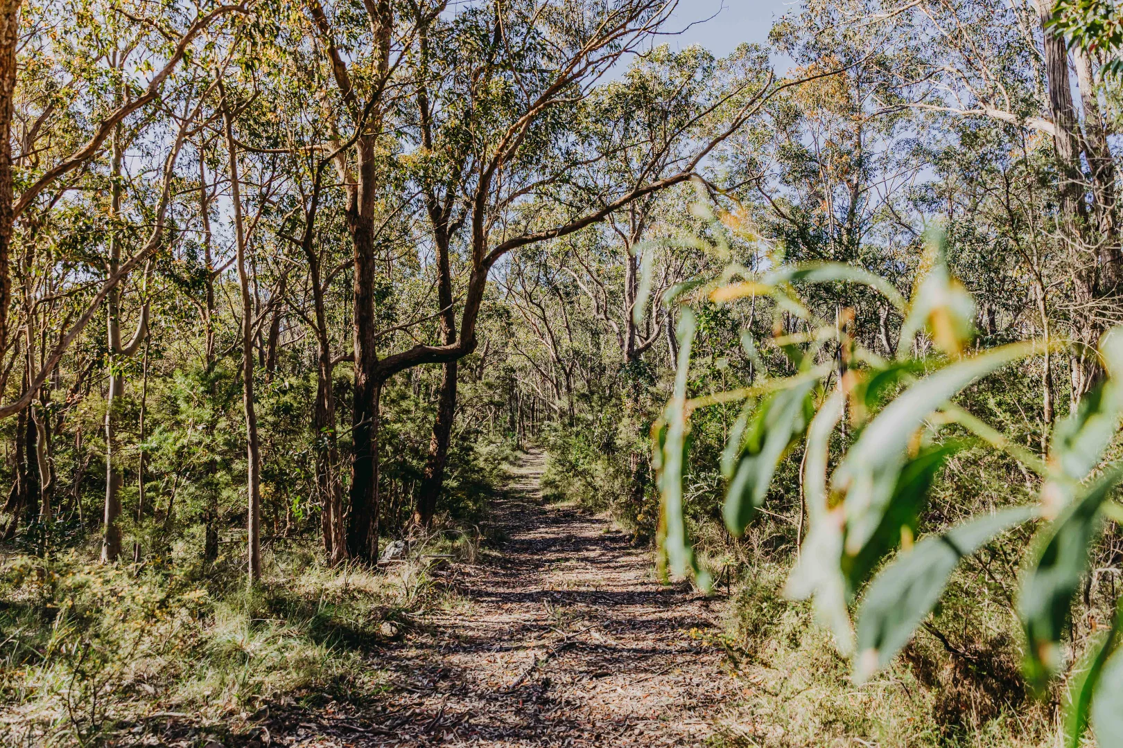 Additional image 21 of 23 Uffington Road, Duns Creek NSW 2321