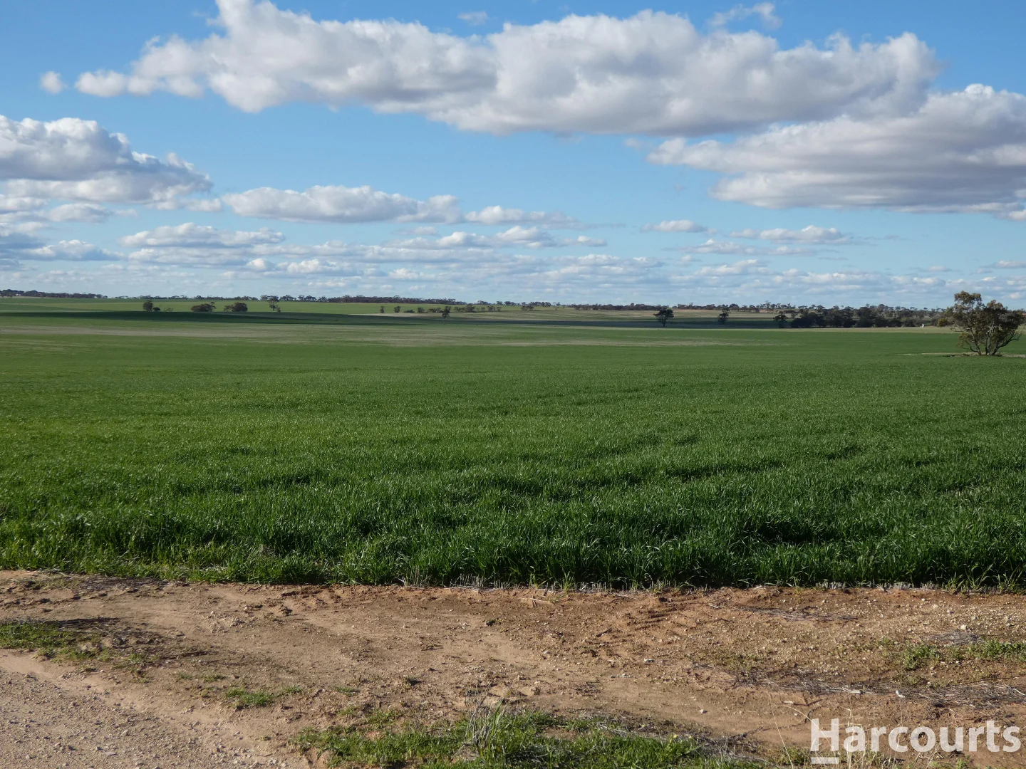 Additional image 35 of 4429 Hopetoun-Rainbow Road, Rainbow VIC 3424