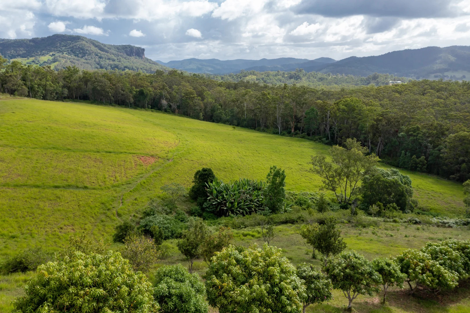 Additional image 27 of Lot 1 Lowe Road, Bollier QLD 4570