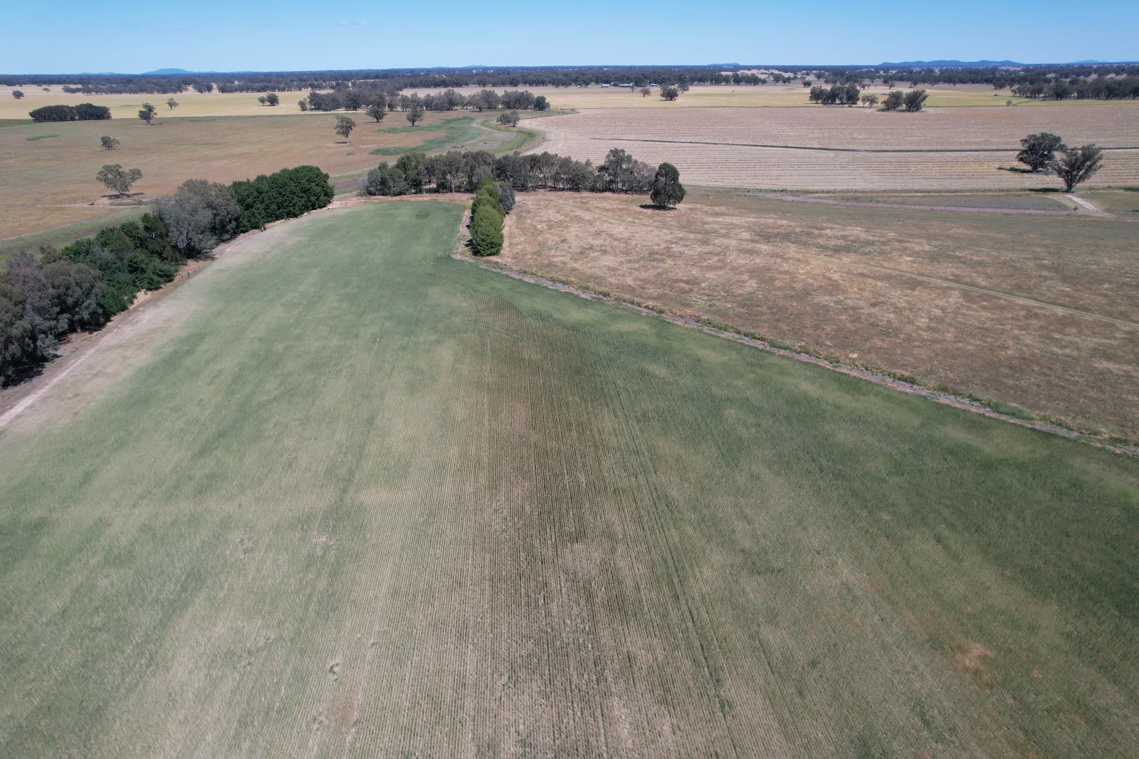 Additional image 21 of 2071 Yarrabandai Road, Bedgerabong NSW 2871