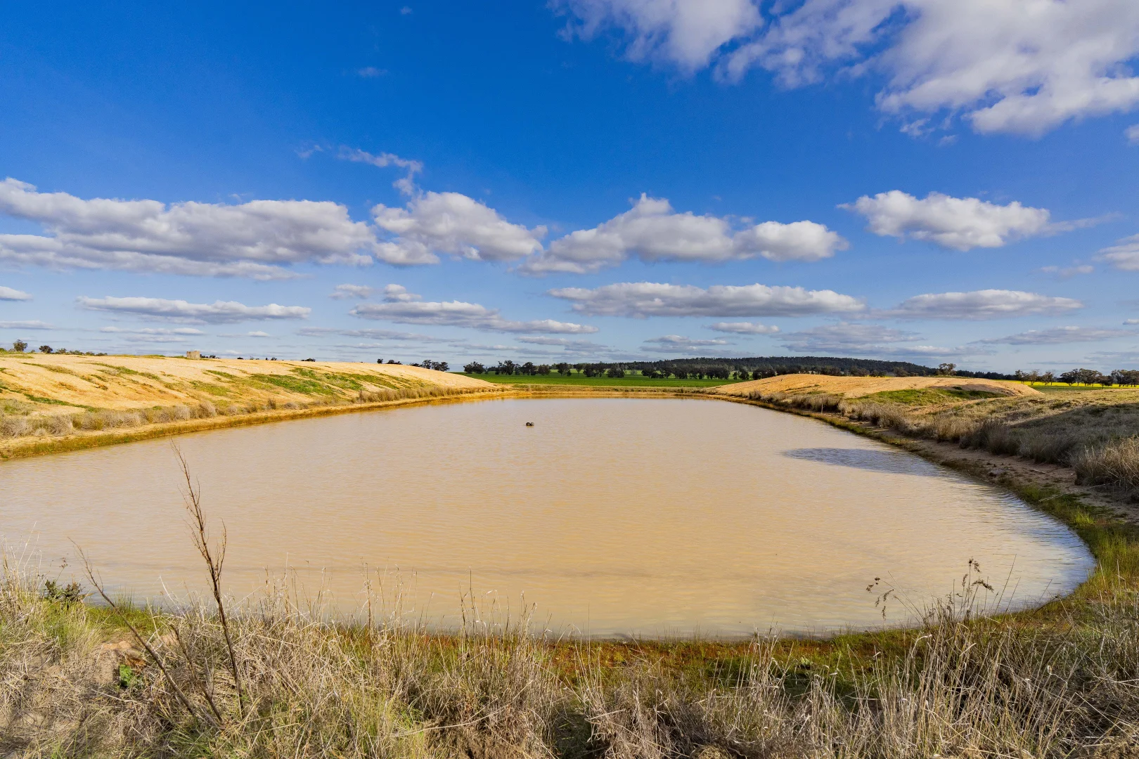 Additional image 16 of 1349 Trungley Hall Road, Temora NSW 2666