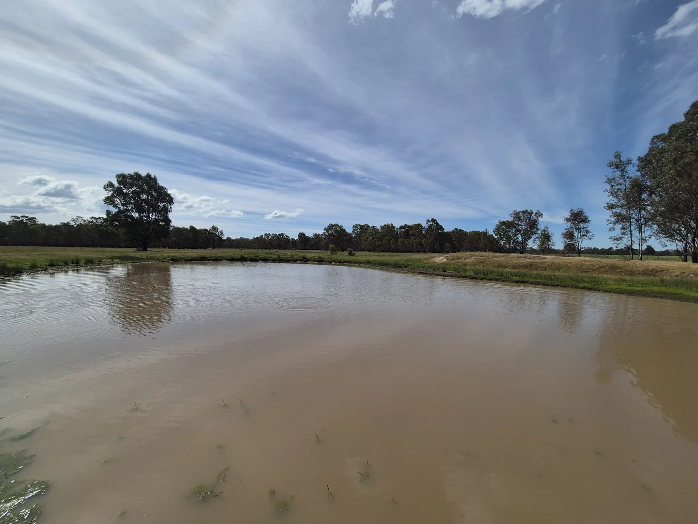 Additional image 15 of 50 Ramage Road, Violet Town VIC 3669