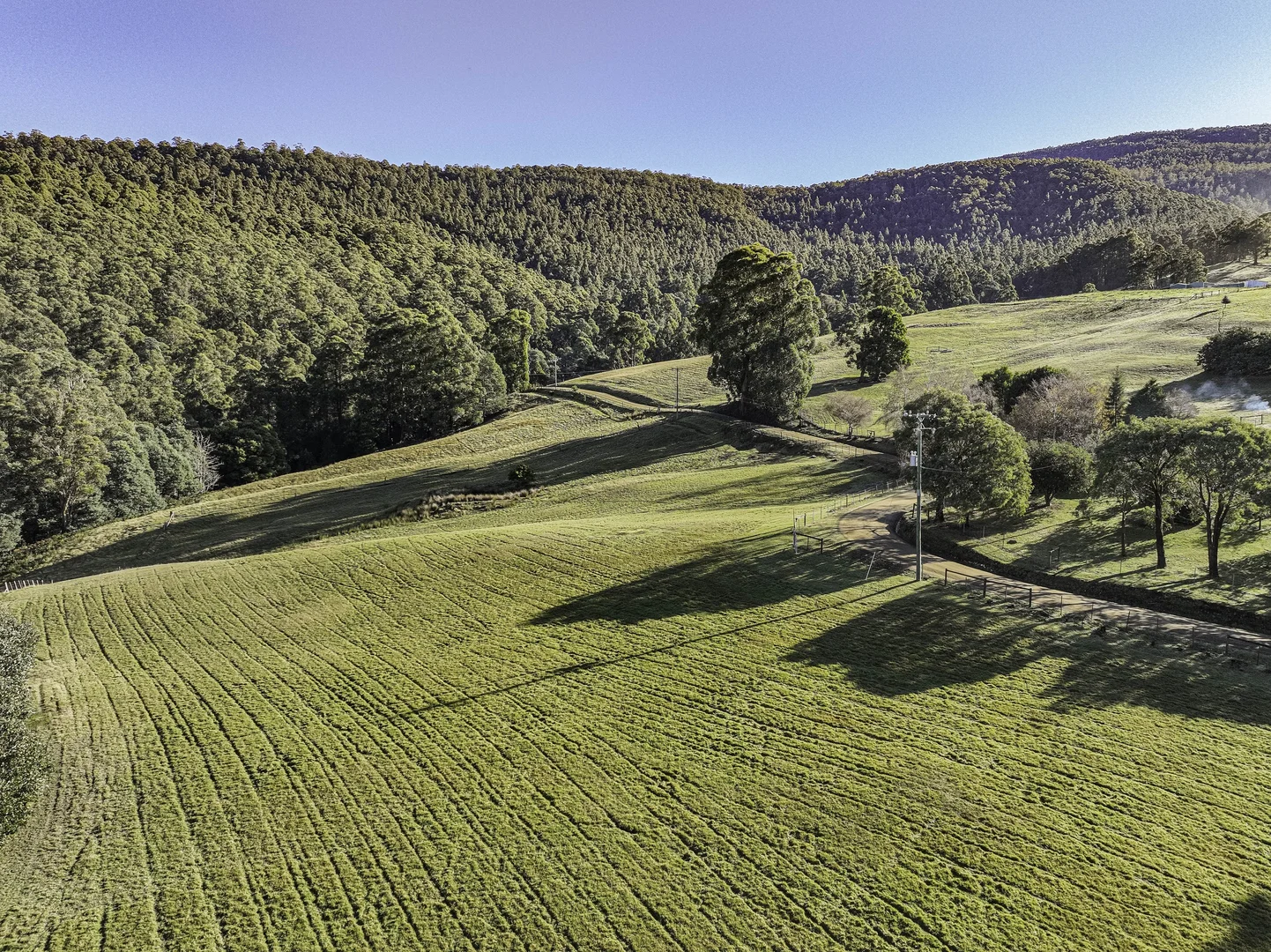 Additional image 8 of Mountain River TAS 7109