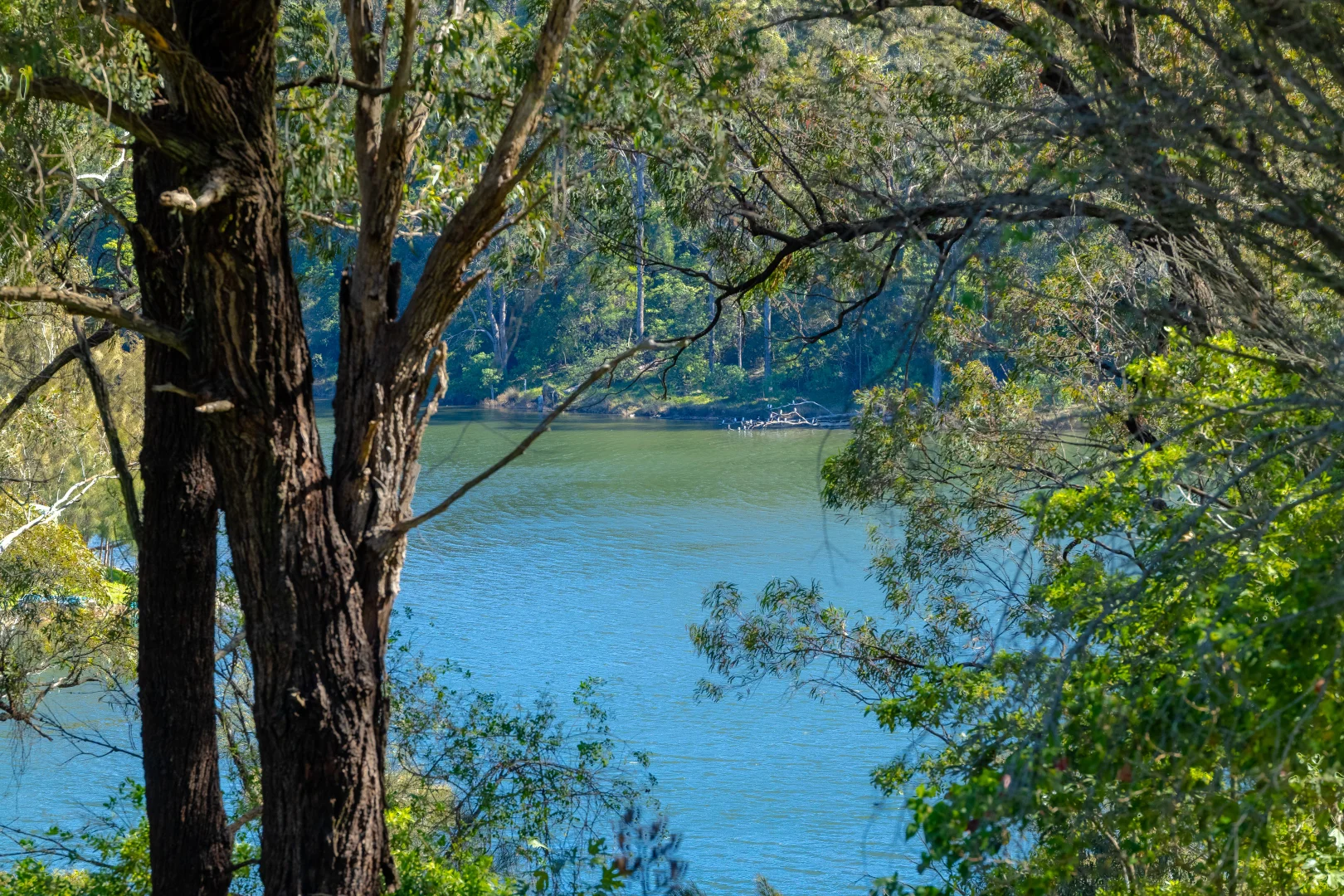 Additional image 7 of 322 Bermagui Road, Akolele NSW 2546