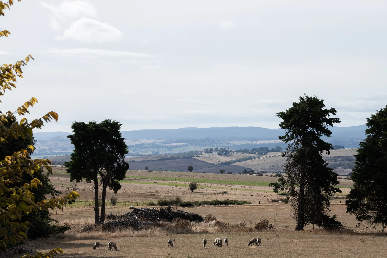 Additional image 8 of 924 White Hills Road, Evandale TAS 7212