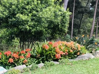 Additional image 24 of Castle Hill NSW 2154