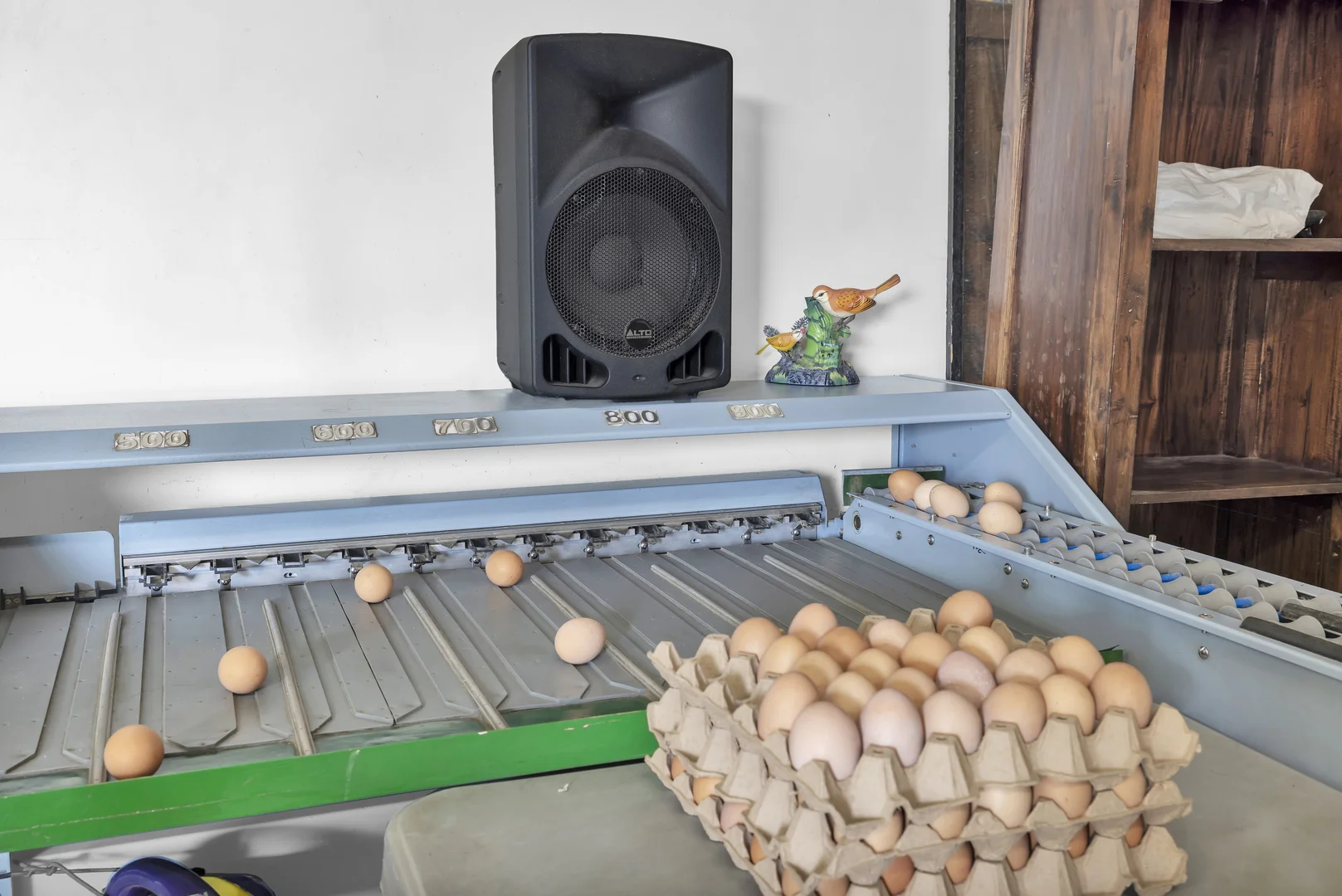 Additional image 7 of 190 Agar Road, Bass VIC 3991