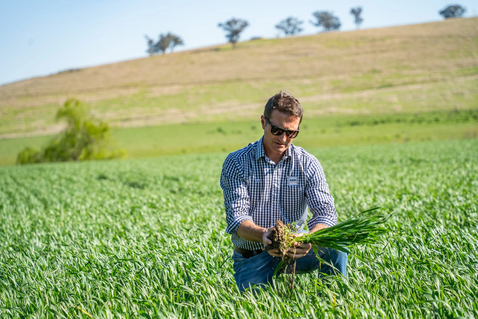 Additional image 10 of Bumbaldry Road, Greenethorpe NSW 2809