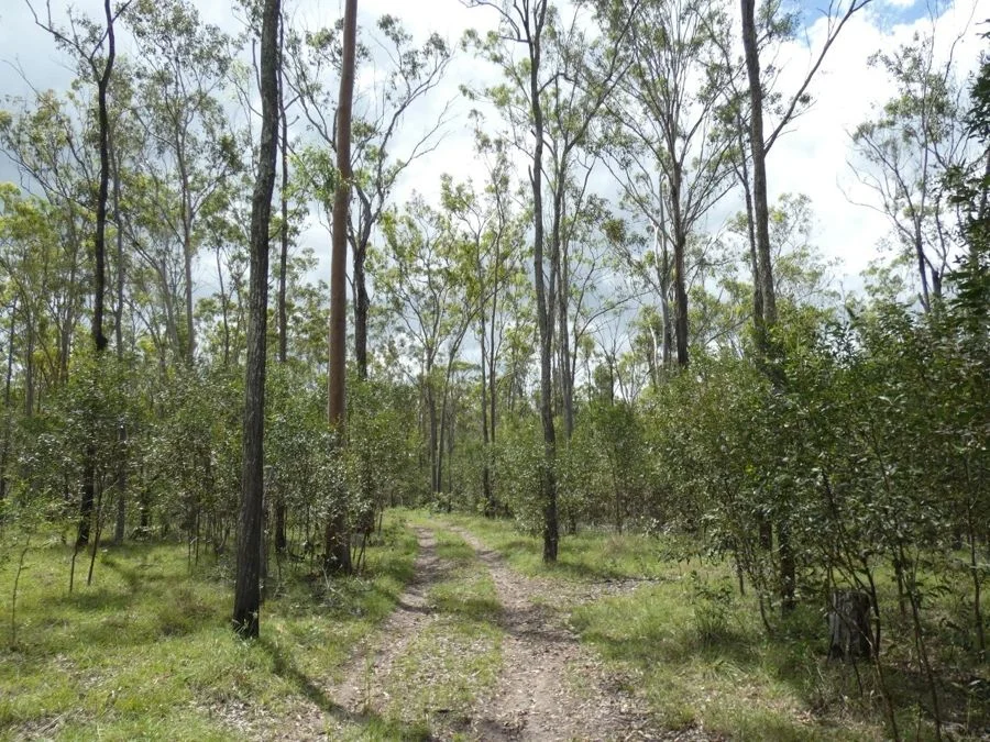 Additional image 34 of 397 Mollenhagens Road, Rosedale QLD 4674