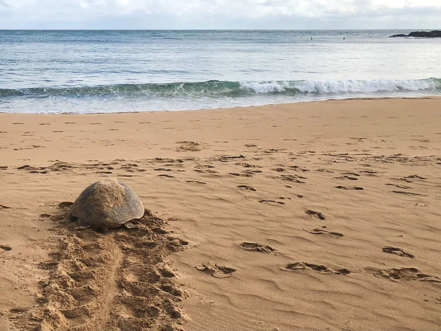 Additional image 24 of 5 Bloodwood Avenue North, Agnes Water QLD 4677