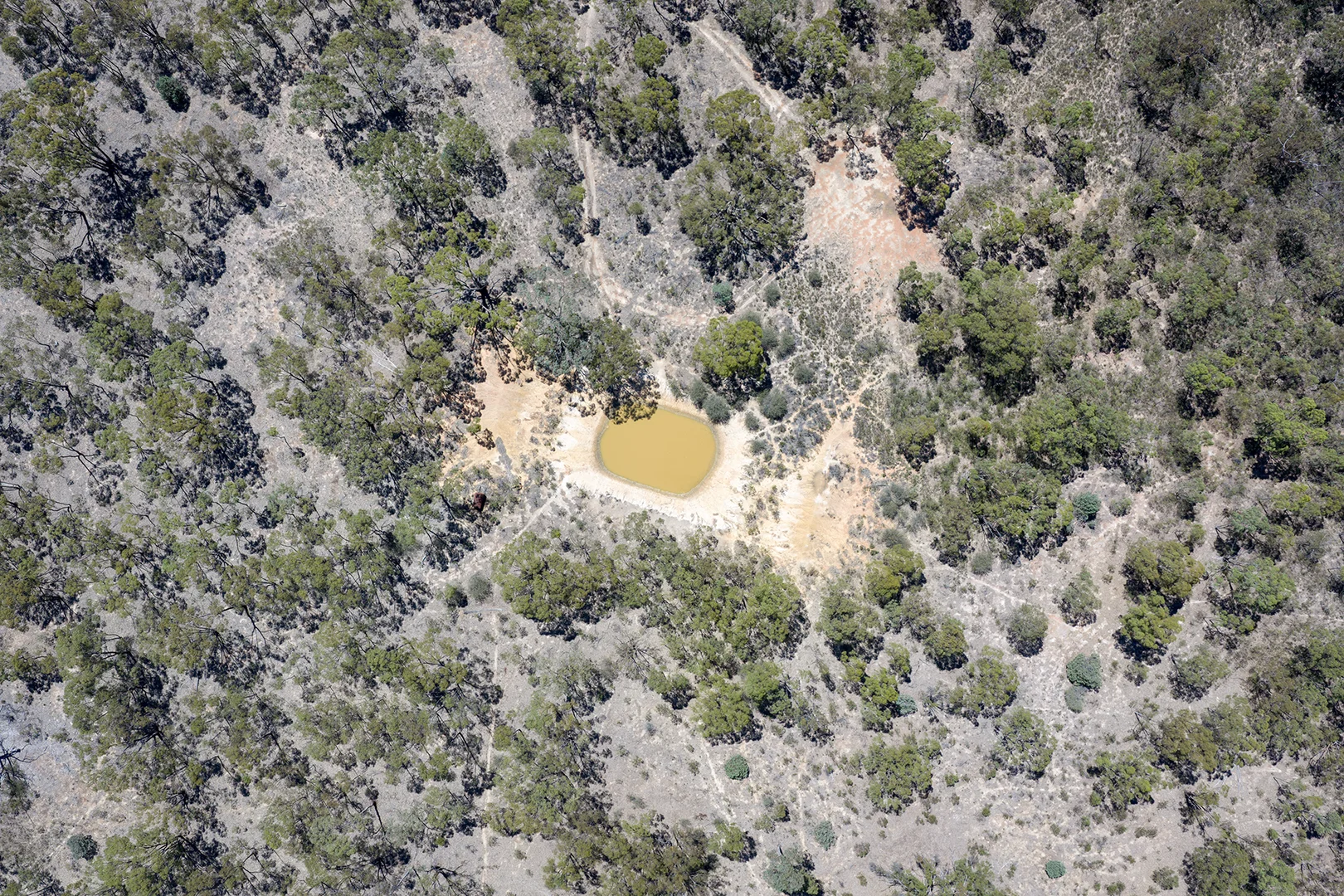 Additional image 9 of Golton South Road, Dadswells Bridge VIC 3385