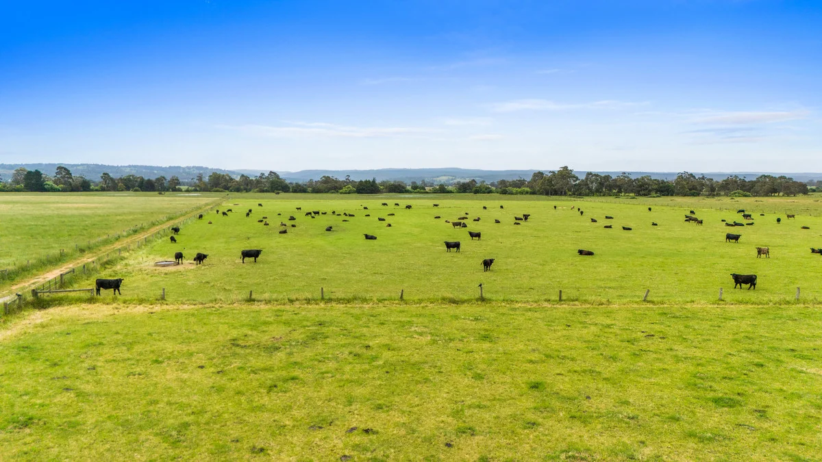 Additional image 3 of 150 + 220 Marshalls Road, Traralgon VIC 3844