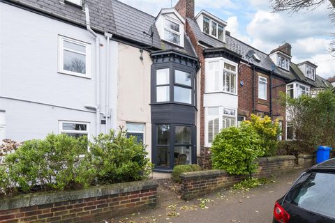 Western Road, Crookes S10