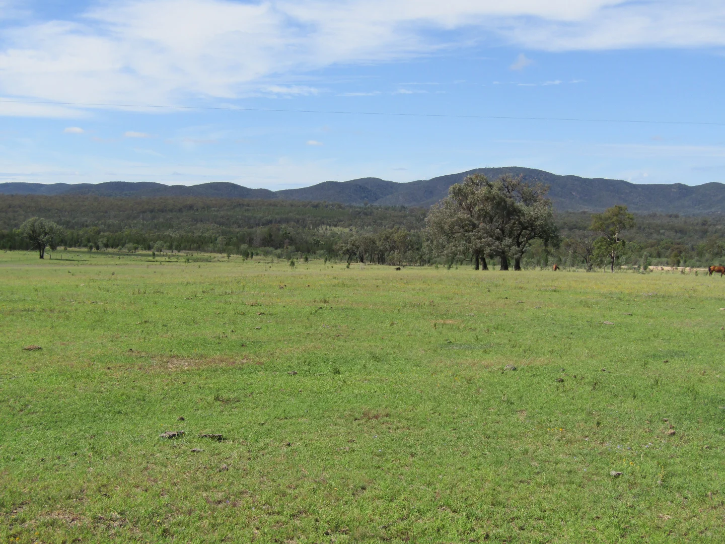 Additional image 10 of 1461 Atholwood Road, Bonshaw NSW 2361