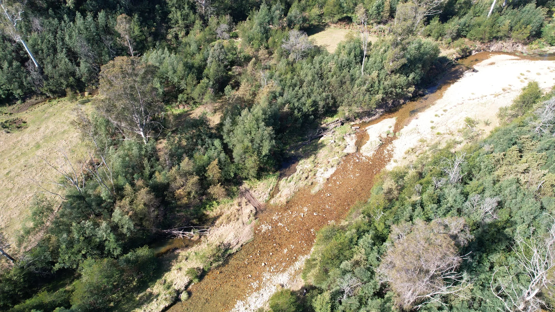 Additional image 36 of 115 Gulph Creek Road, Nerrigundah NSW 2545