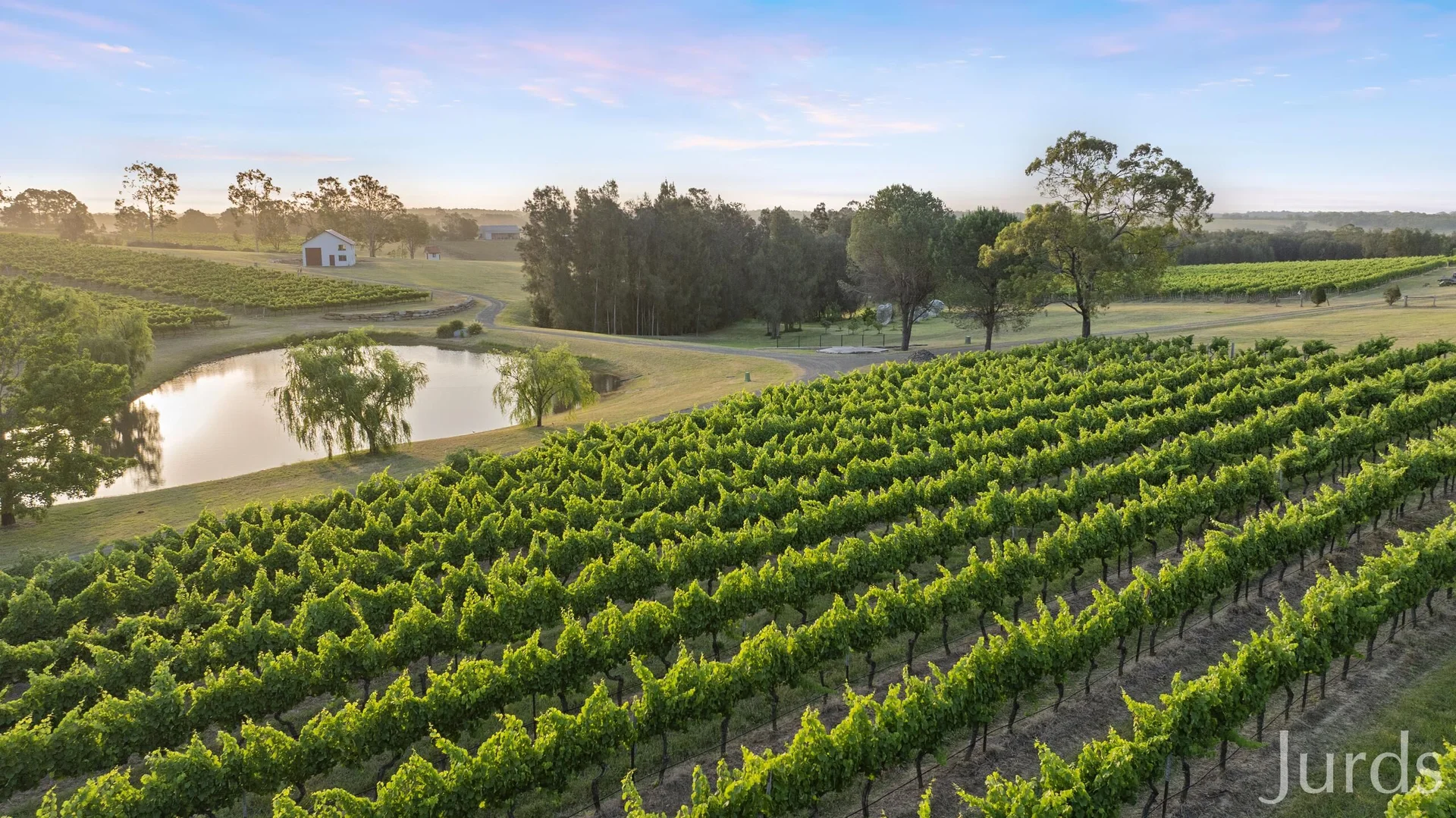 Additional image 32 of 110 Old North Road, Pokolbin NSW 2320