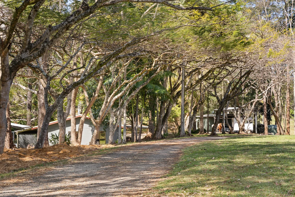 Additional image 18 of 121 Binna Burra Road, Binna Burra NSW 2479