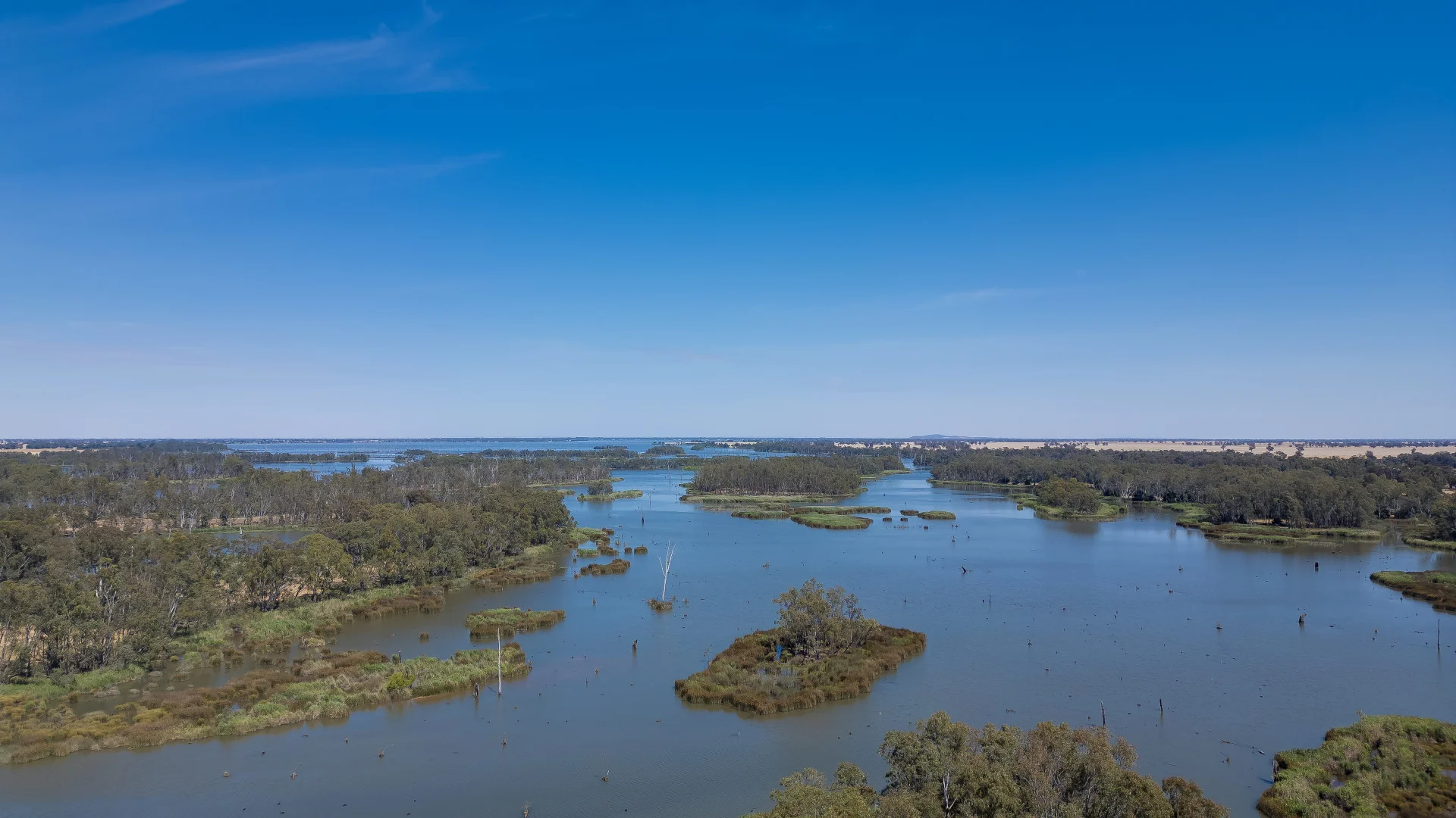 Additional image 4 of 2237 Spring Drive, Collendina NSW 2646