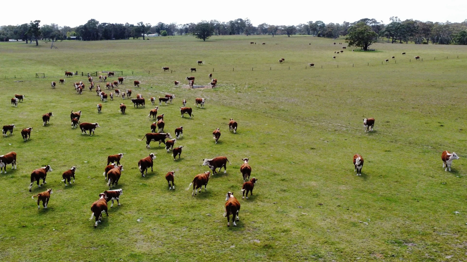 Additional image 20 of Lot/11 Casterton Apsley Road, Apsley VIC 3319