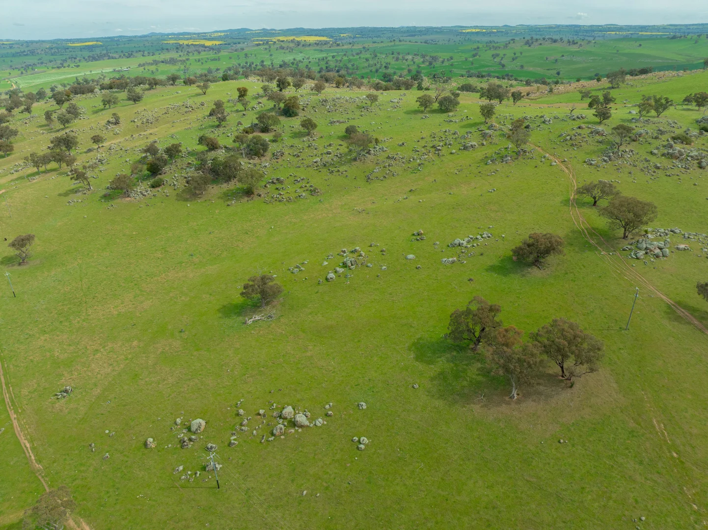 Additional image 11 of Cemetery Road, Murrumburrah NSW 2587