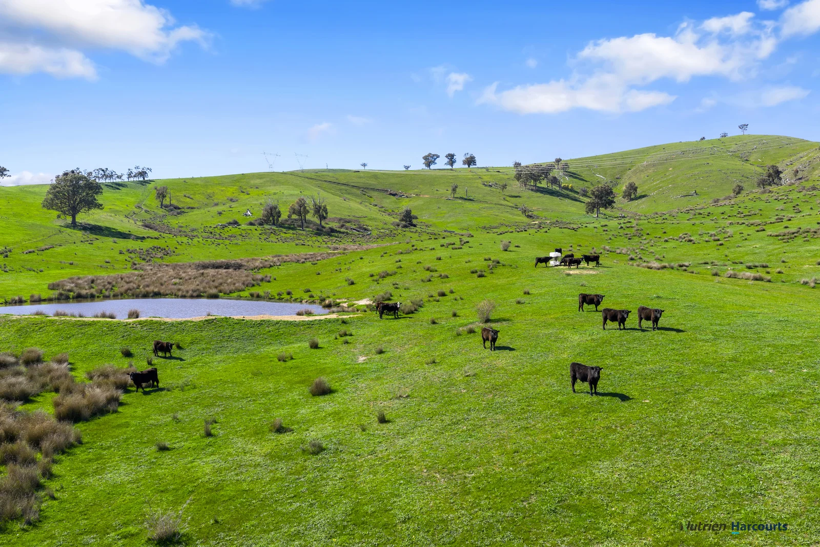 Additional image 11 of 53 Halls Outlet Road, Alexandra VIC 3714