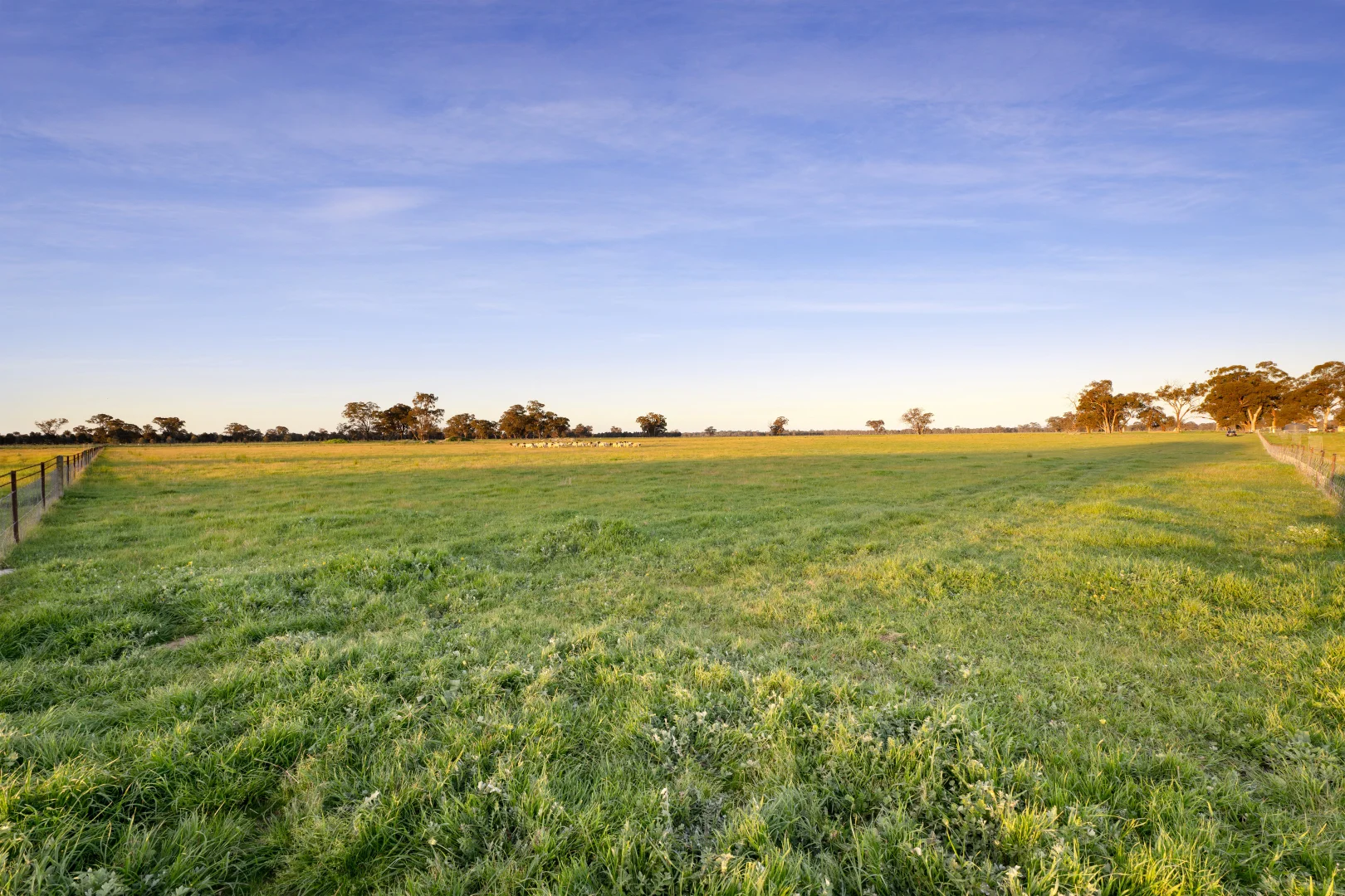 Additional image 31 of 617 Police Paddocks Rd, Carlyle VIC 3685
