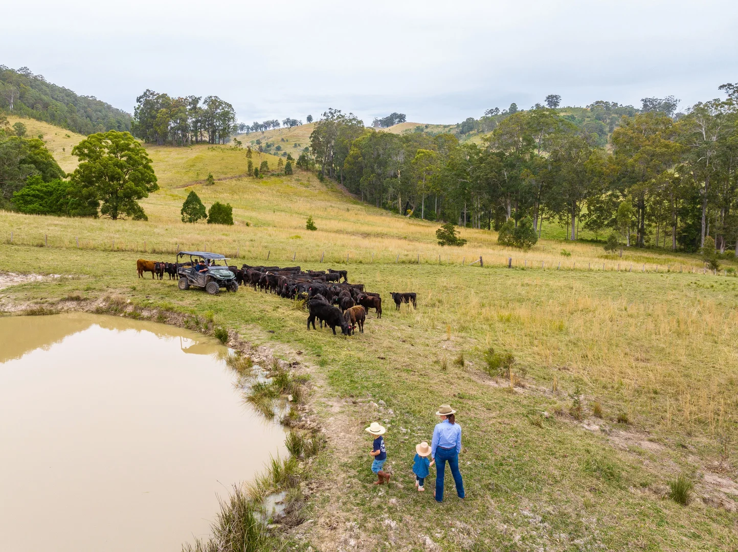 Additional image 8 of 152 Red Gully Road, Burrell Creek NSW 2429