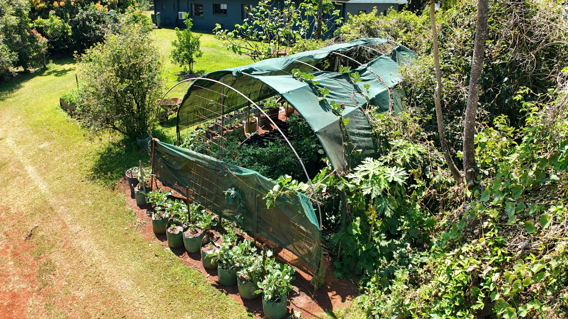 Additional image 49 of 767 Peeramon Road, Peeramon QLD 4885