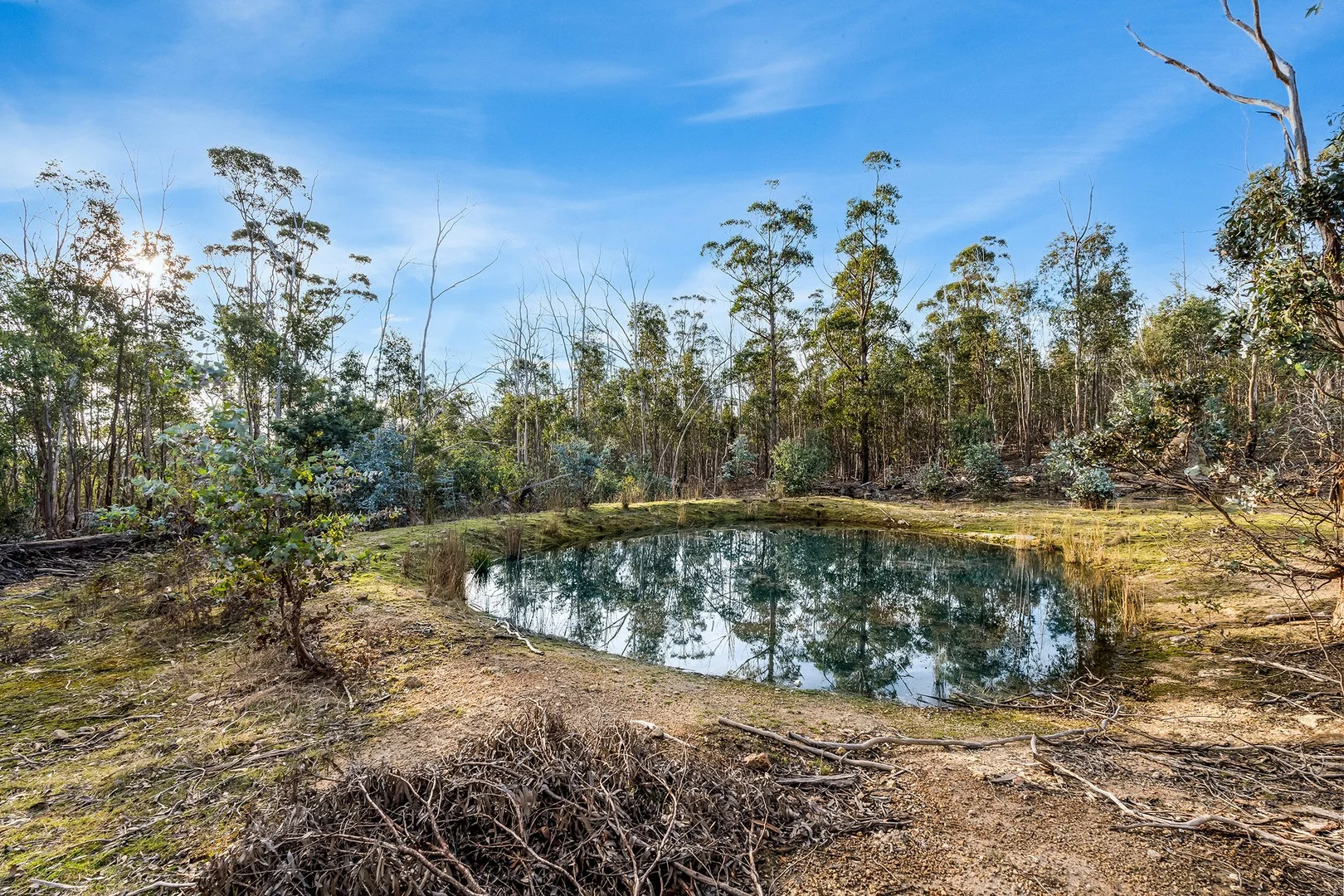 Additional image 5 of 107 Inala Road, Forcett TAS 7173