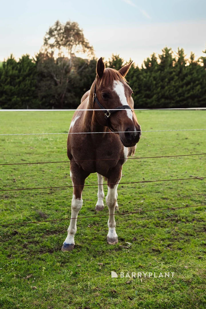 Additional image 12 of 410 Old Sale Road, Drouin West VIC 3818