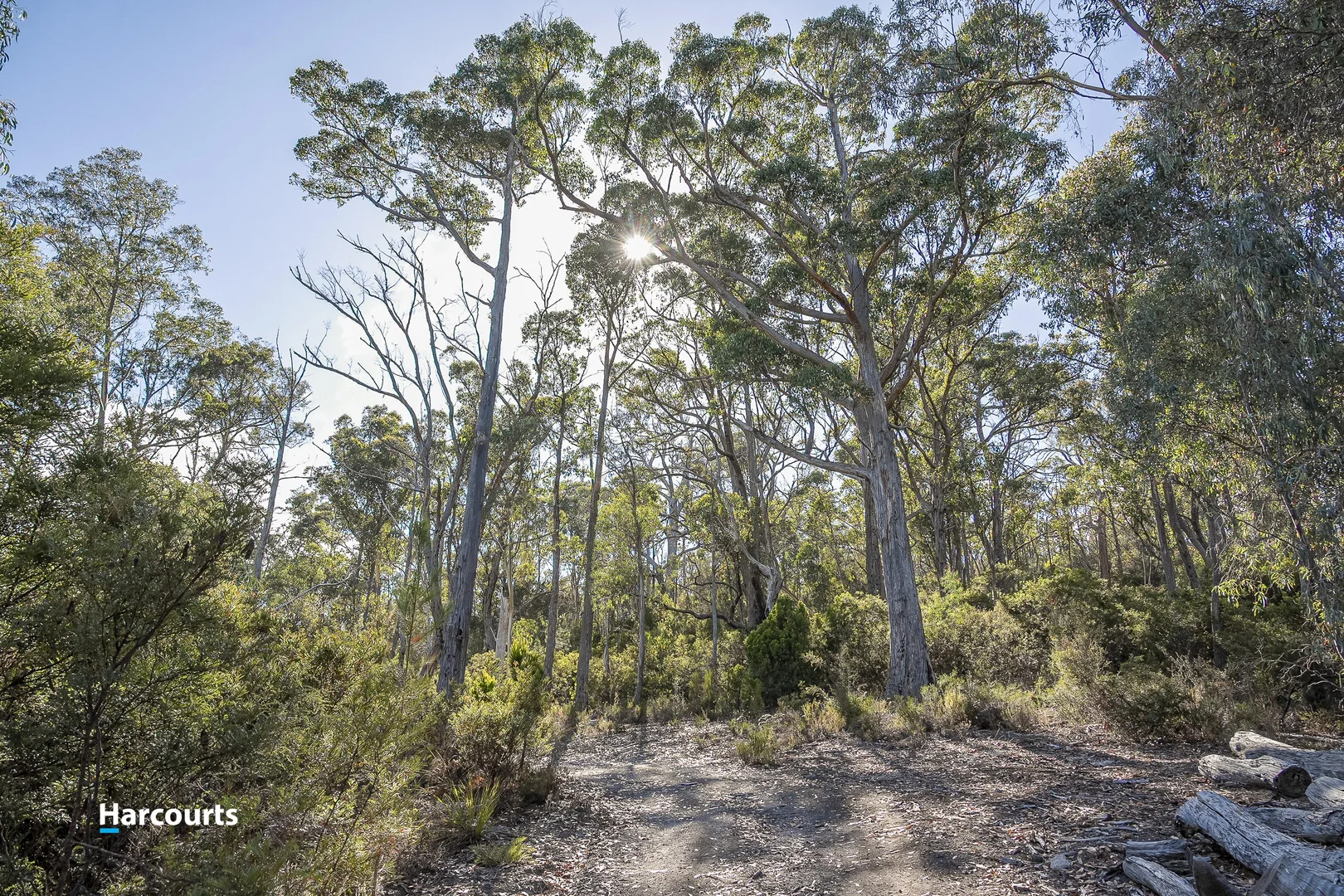 Additional image 8 of 273 Abels Bay Road, Abels Bay TAS 7112
