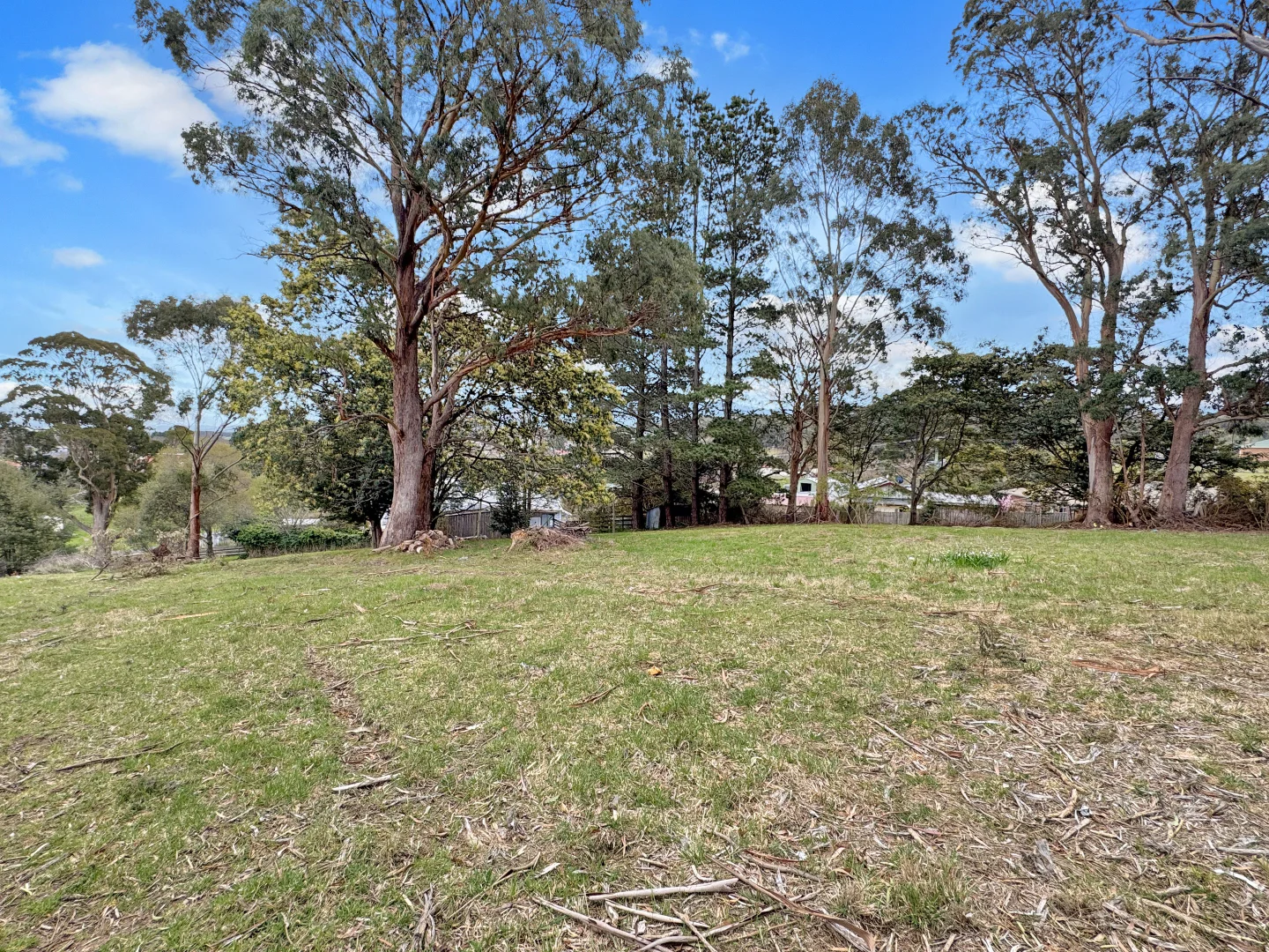 Additional image 12 of 15 Newman Street, St Marys TAS 7215