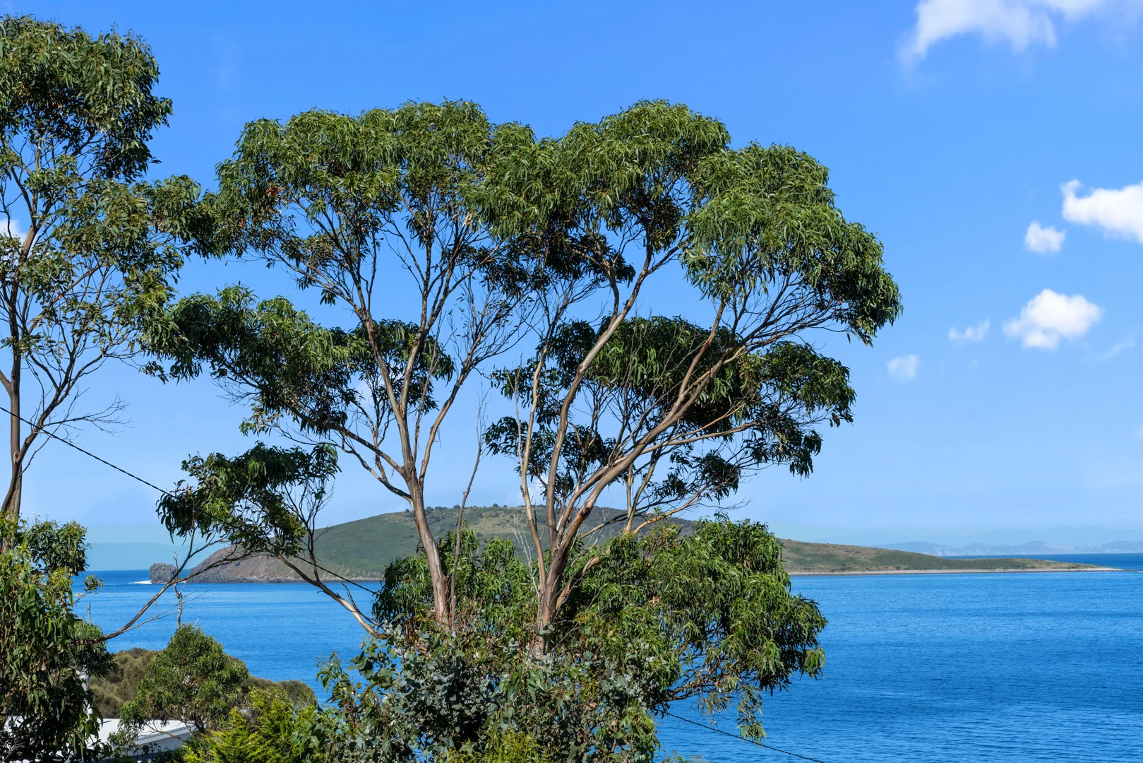 Additional image 6 of 596 White Beach Road, White Beach TAS 7184
