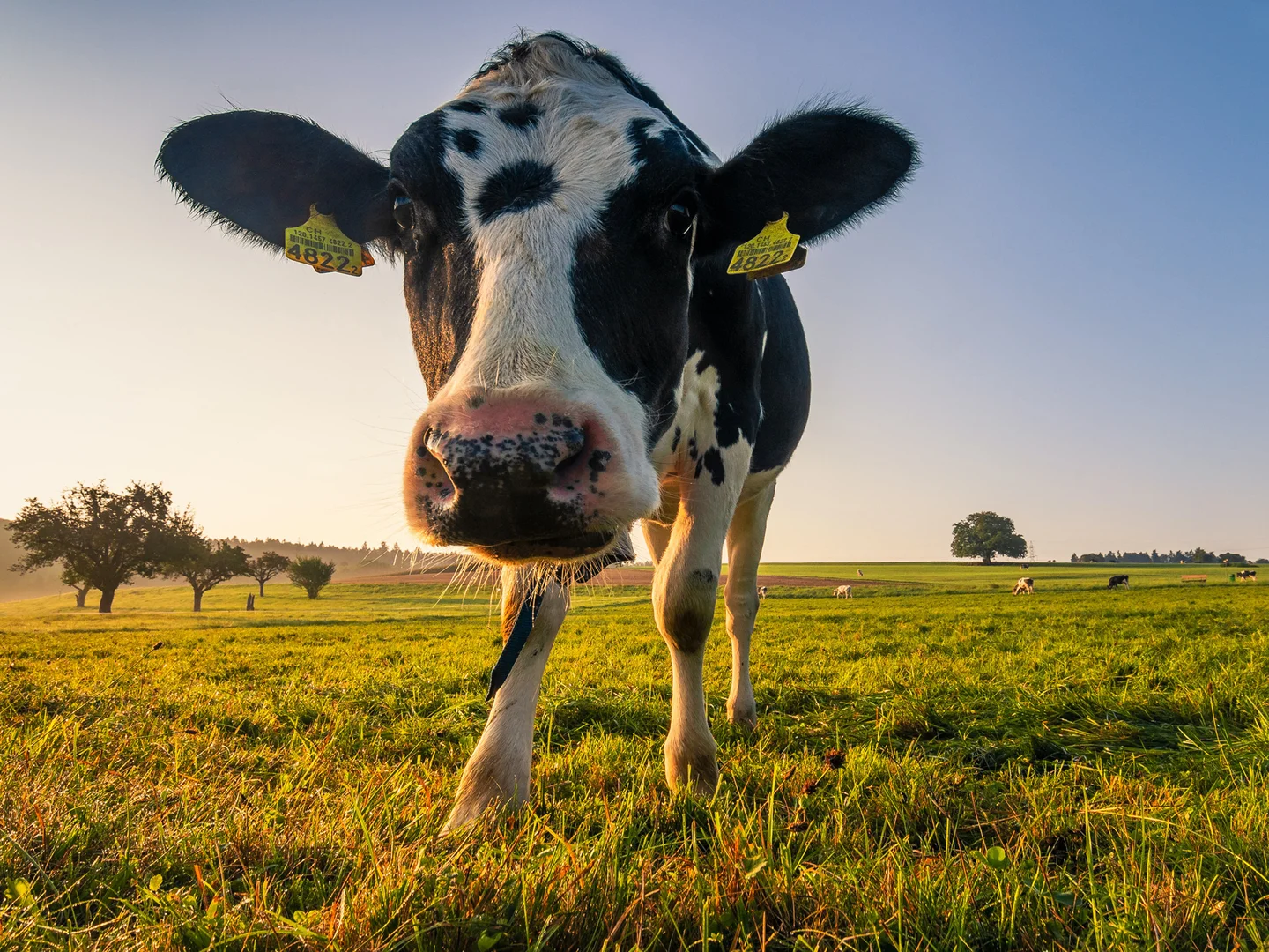 Additional image 10 of Lot 25 Dunlop Way (New Road, Maleny QLD 4552