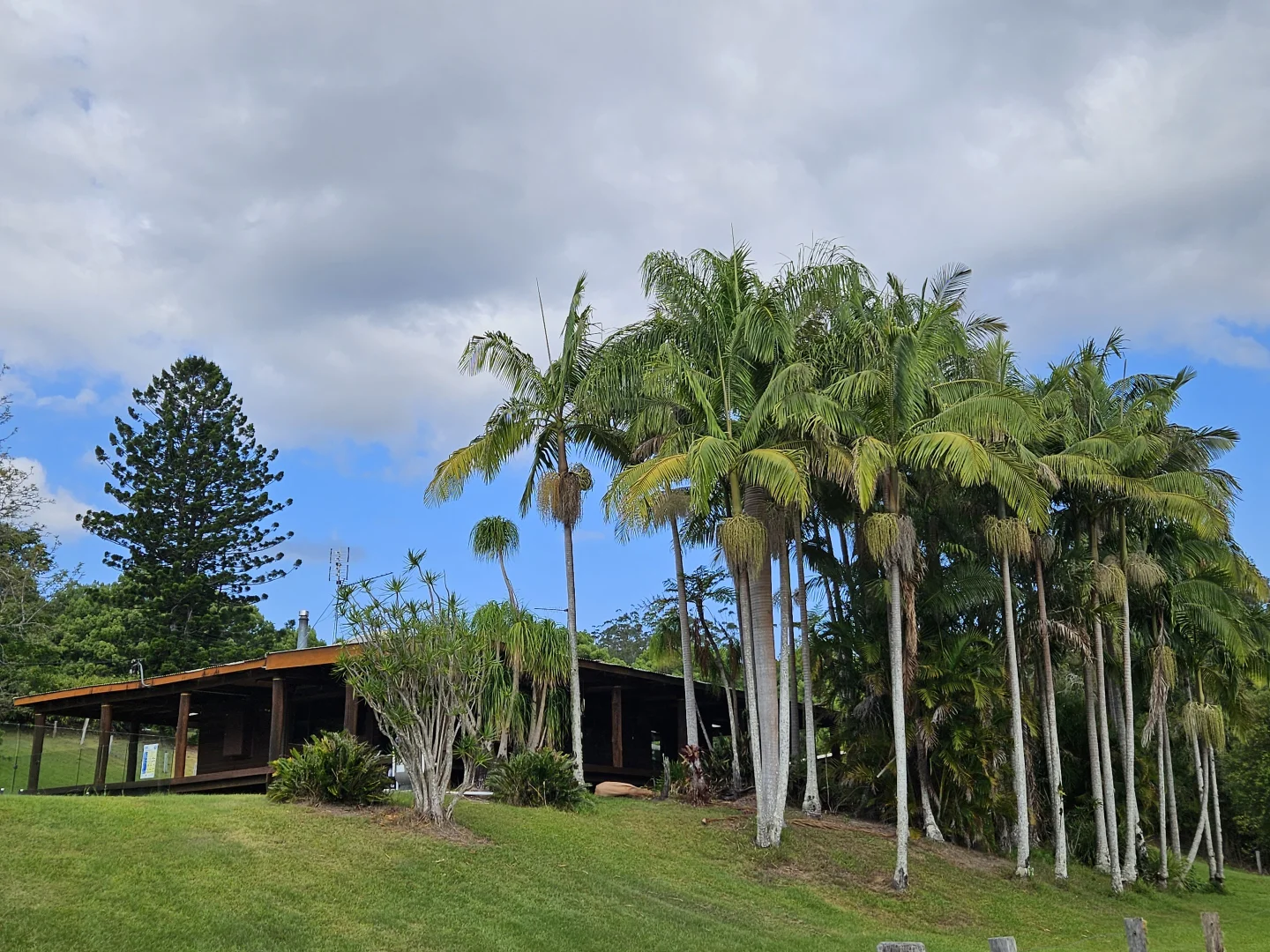 Additional image 11 of 139 Chowan Creek Road, Chowan Creek NSW 2484