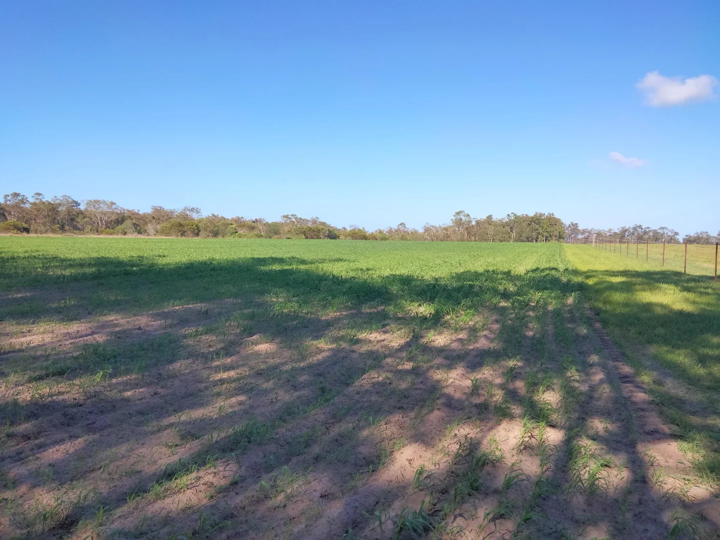 Additional image 65 of 2913 Rosedale Road, Yandaran QLD 4673