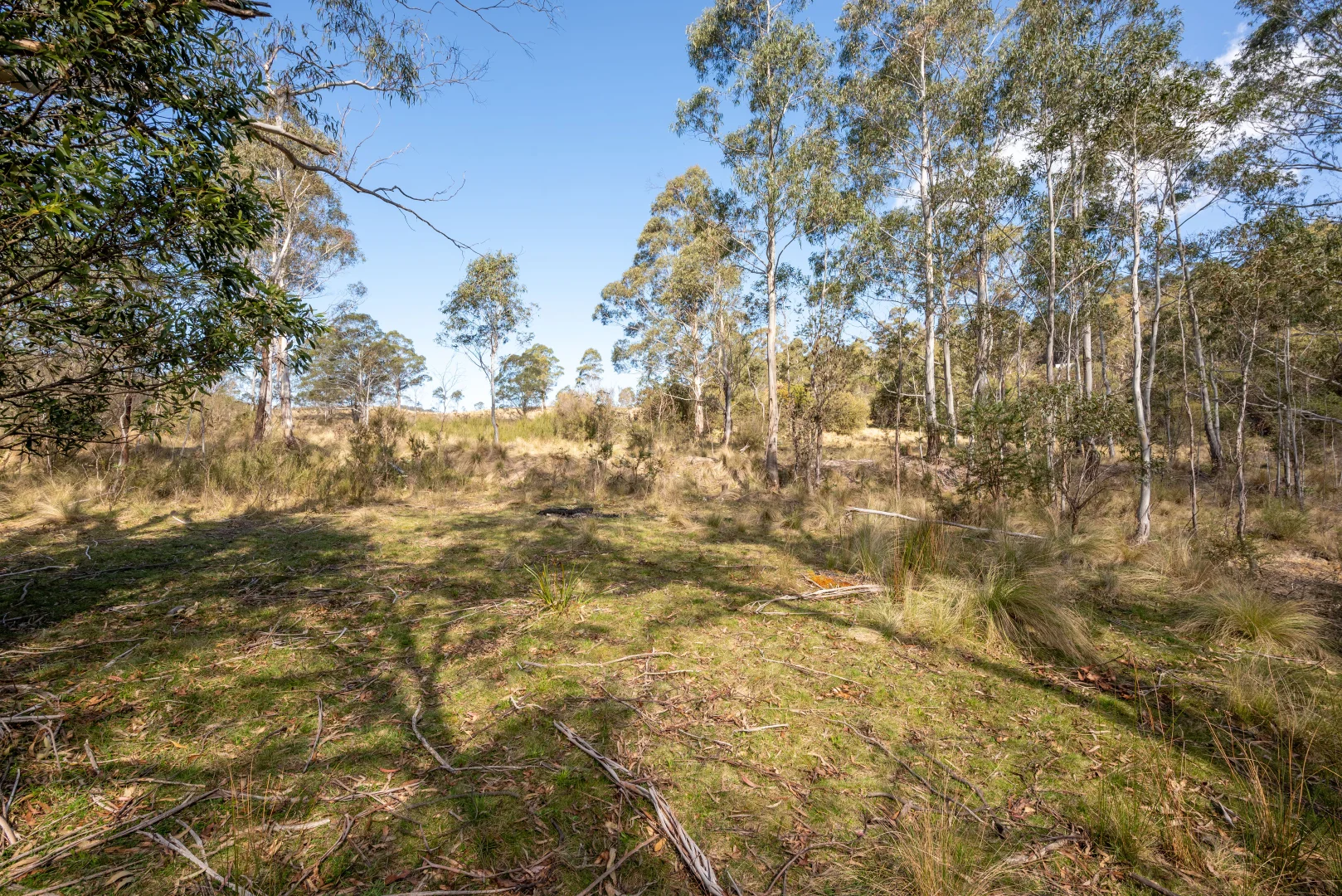 Additional image 27 of 153 Blue Bush Road, Wyanbene NSW 2622