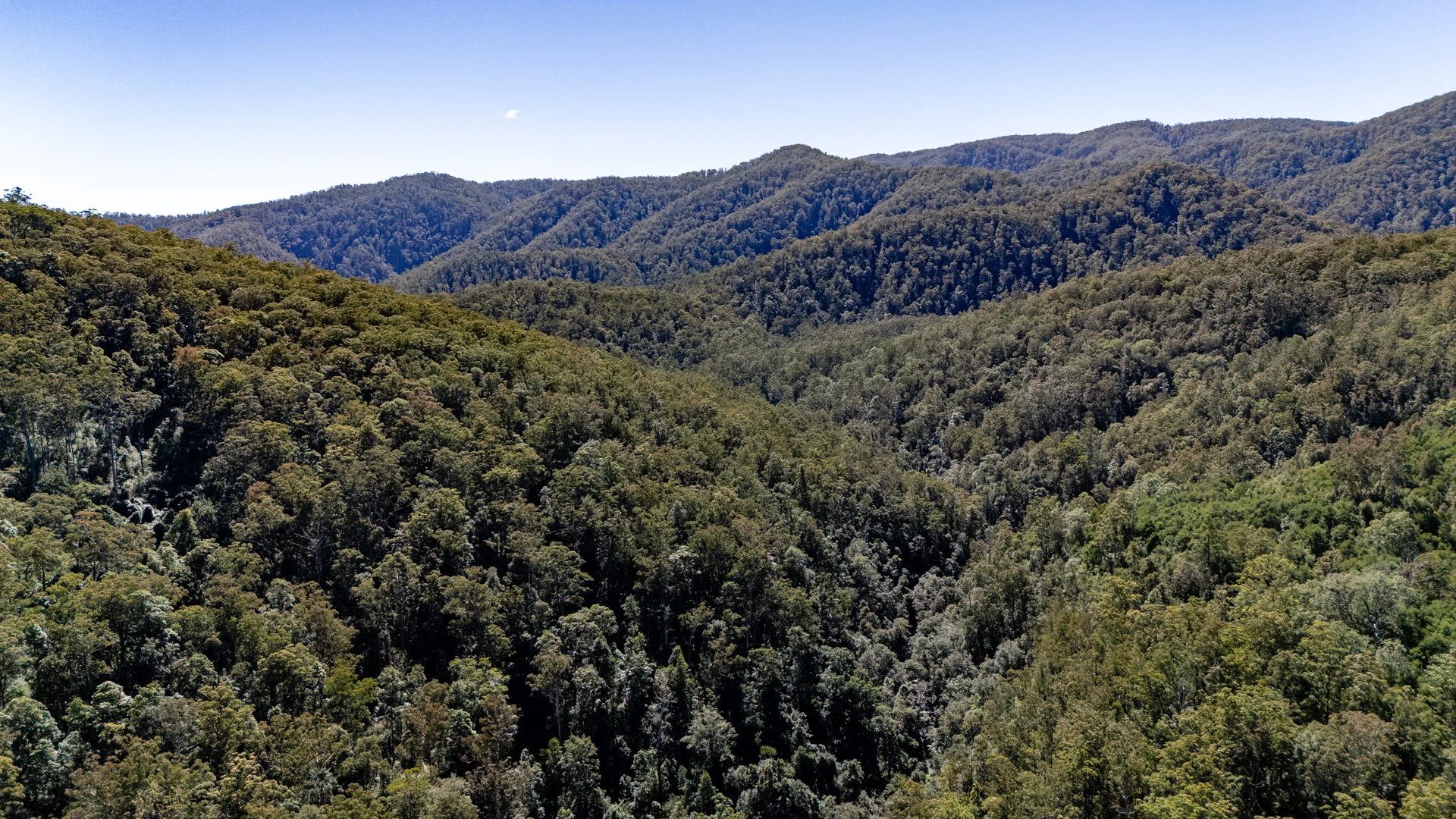 Additional image 7 of 3542 Nowendoc Road, Caffreys Flat NSW 2424