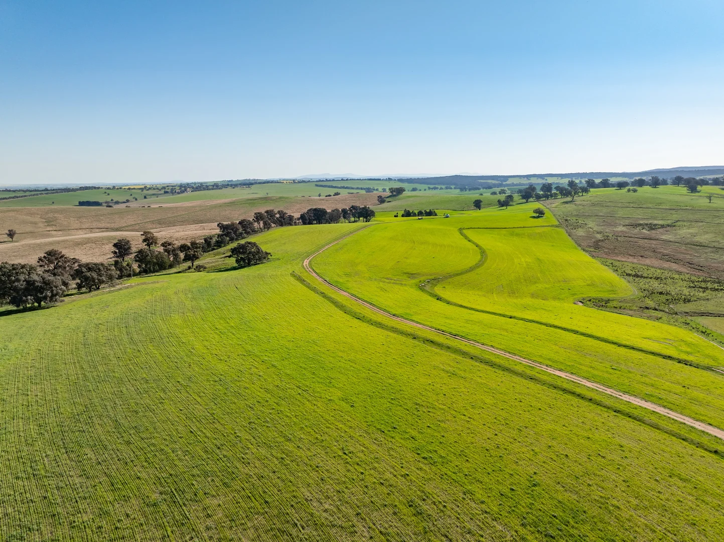 Additional image 25 of Bumbaldry Road, Greenethorpe NSW 2809