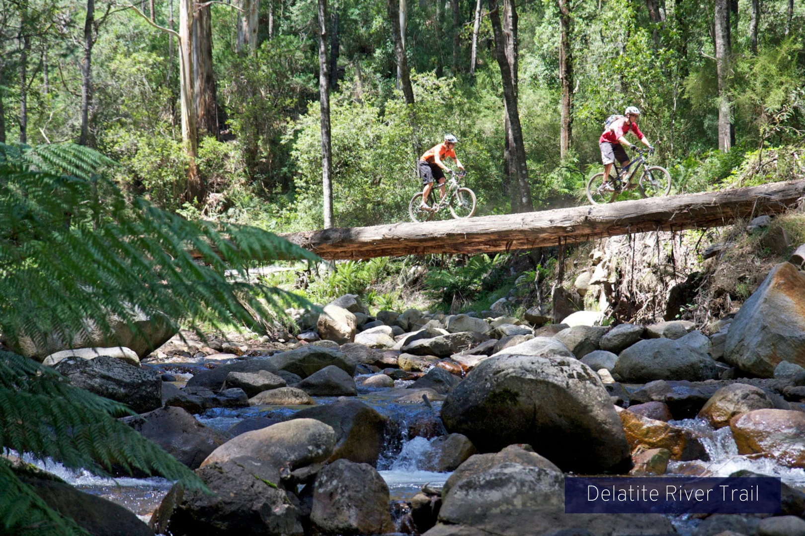 Additional image 16 of 20 Alpine Ridge Drive, Merrijig VIC 3723