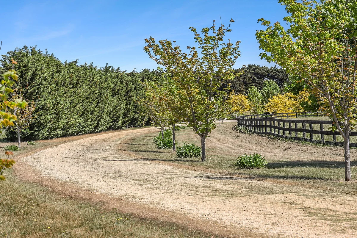 Additional image 6 of 2780 Cape Otway Road, Winchelsea VIC 3241