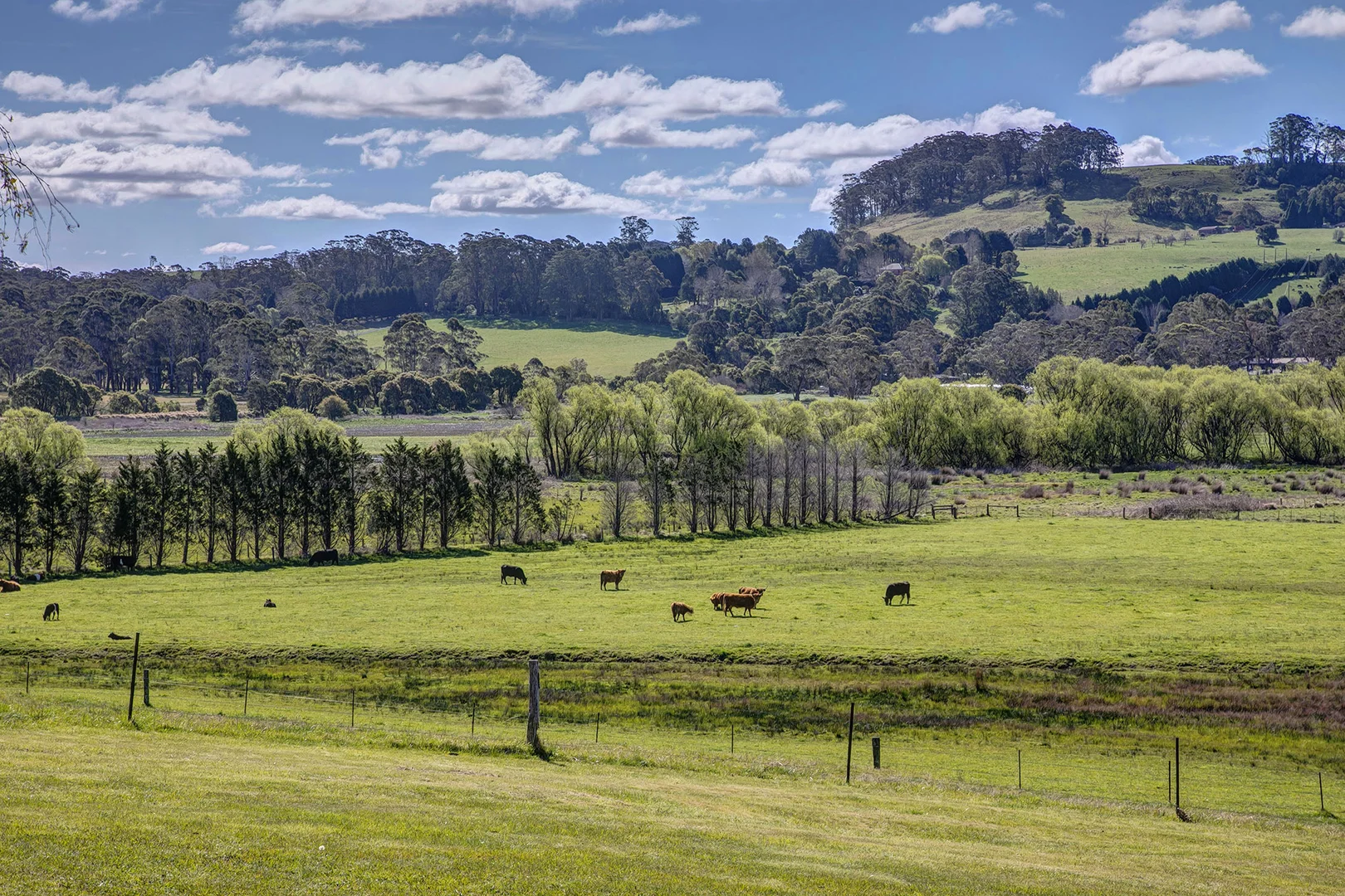 Additional image 6 of 100 Blencowes Lane, Wildes Meadow NSW 2577