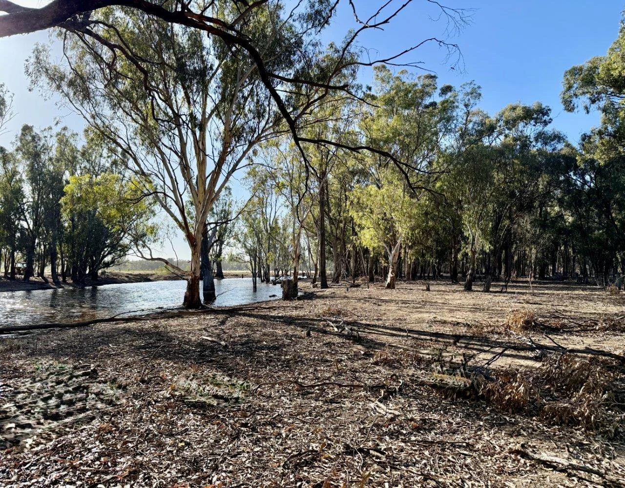 Additional image 6 of Lot 53 Old Deniliquin Road, Moama NSW 2731
