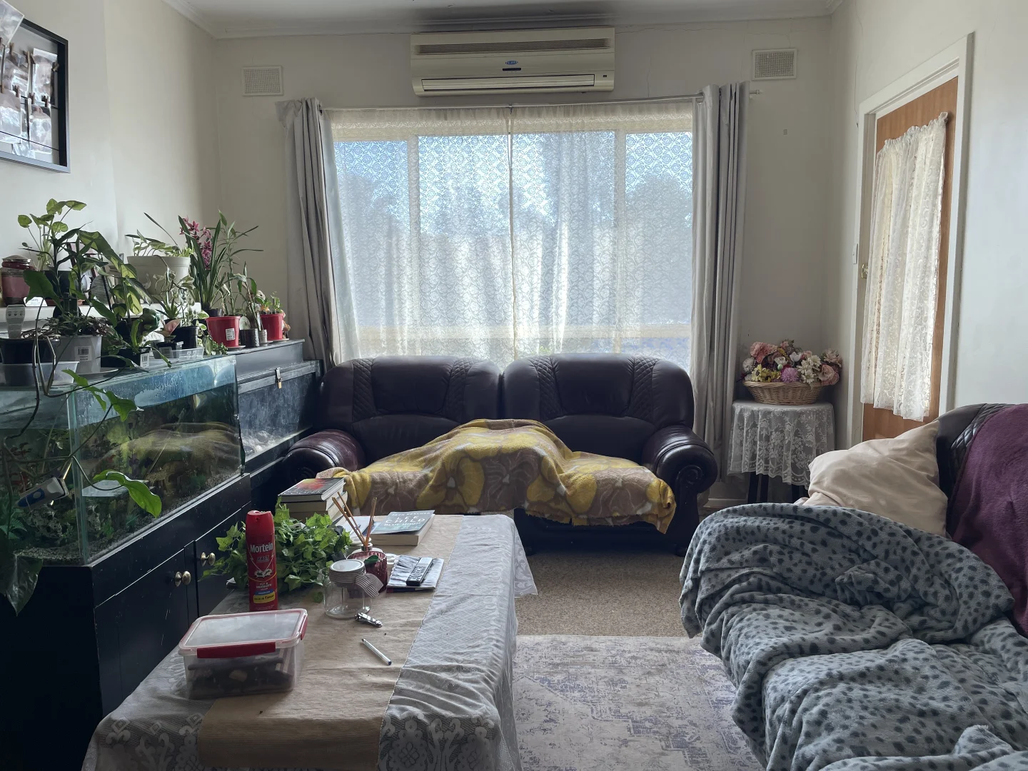 Additional image 2 of 19 Jensen Street, Port Pirie SA 5540