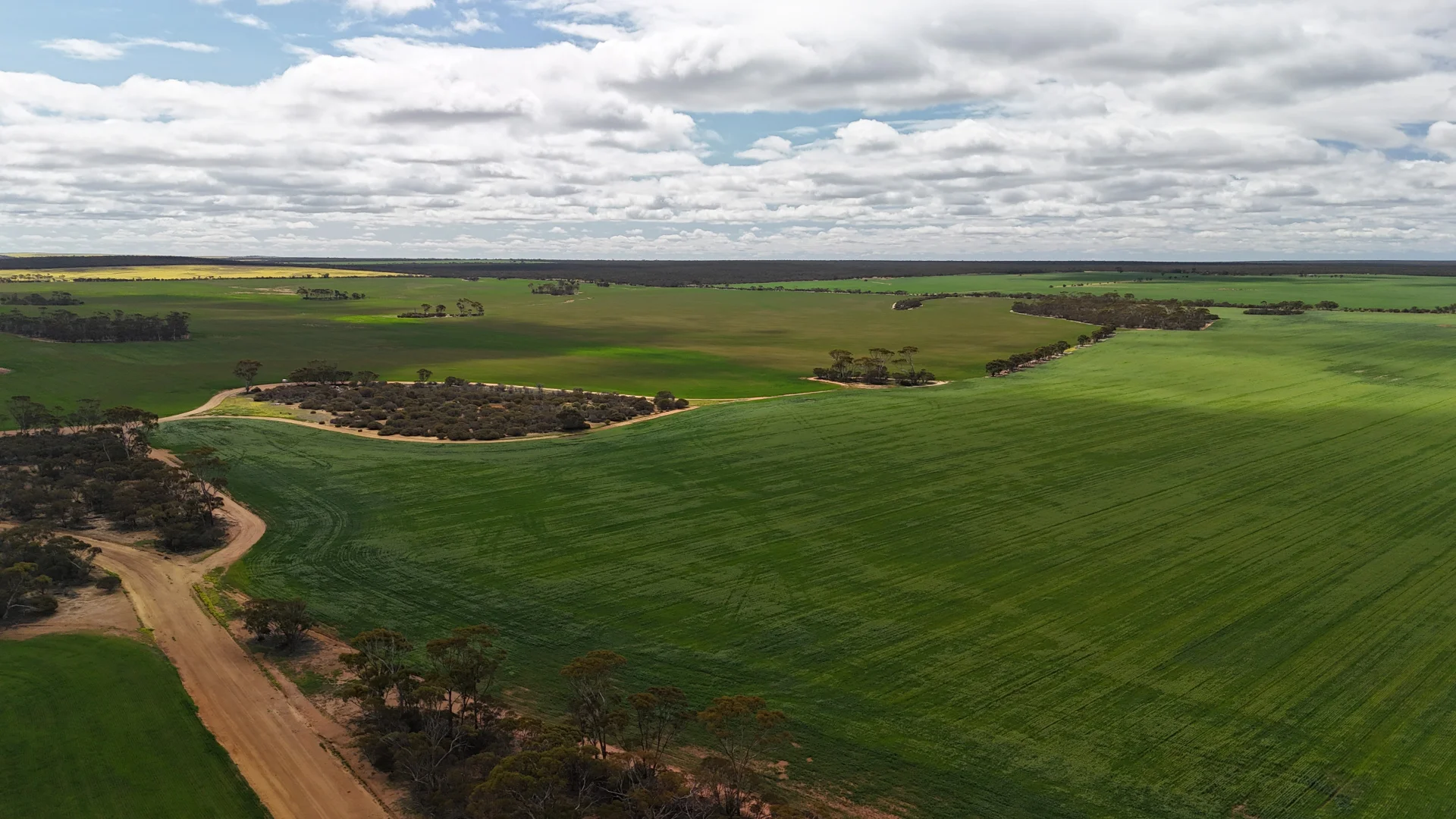 Additional image 15 of 3279 Calzoni Road, Hyden WA 6359