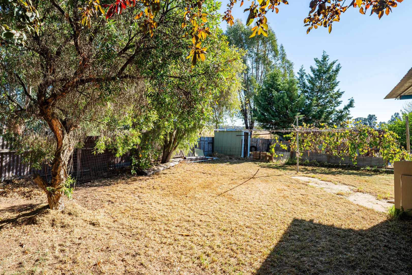 Additional image 15 of 1905 Kywong Howlong Road, Brocklesby NSW 2642